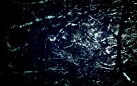 世界短跑线上对抗赛秋季赛优秀战术与视频回放集上线，世界短跑锦标赛的视频